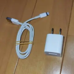 ACアダプタとLightningケーブルセット