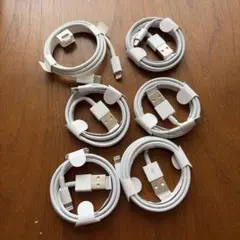 iPhone USB-C to Lightningケーブル 6本セット ホワイト