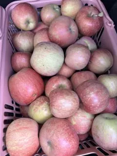 メイちゃん様専用　りんご