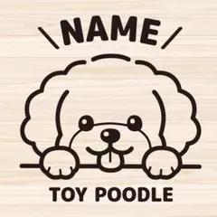 Item thumbnail for item 96842d28-709c-4141-8c46-5022e3c2f386