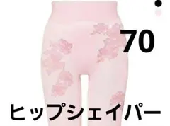 Item thumbnail for item 0953c543-769e-4415-8f86-26f452f494dc