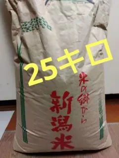 令和7年 福島県喜多方産 コシヒカリ玄米20kg - メルカリ