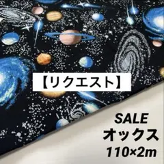 ＊yiccy＊オーダー受付中様 リクエスト 2点 まとめ商品