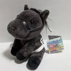 クロワデュノール　日本ダービー　アイドルホースSサイズ