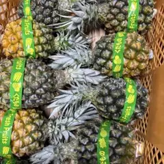 スナックパイン ご自宅用 2kg 東村産のサムネイル