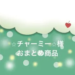 ⭐︎チャーミー⭐︎様 リクエスト 2点 まとめ商品