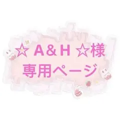 ☆ A＆H ☆様専用ページ 4点セット