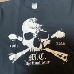 Item thumbnail for item 31d9d04f-4d62-4bed-95d7-b147b583c130