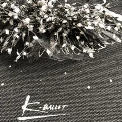 Item thumbnail for item 388239f8-1502-4492-9363-00907153eee2