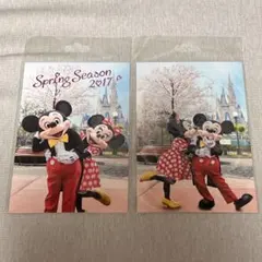 新品　ディズニー　ポストカード ミッキーマウス　ミニーマウス　旧フェイス　桜