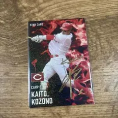 ⭐️本人写真⭐️広島カープ矢野雅哉小園海斗直筆サイン色紙セット2025沖縄キャンプ ⭐️本人写真⭐️広島カープ矢野雅哉小園海斗直筆サイン色紙