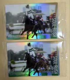 【競馬カード】メモリアルカード等セット　ケース付 2026年最新】サラブレッドカードメモリアルの人気アイテム - メルカリ