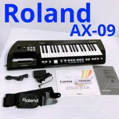2026年最新】roland lucinaの人気アイテム - メルカリ