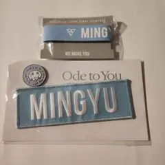 ミンギュ SEVENTEEN ワッペン ラバーバンド Ode to You