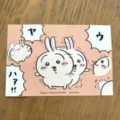 ちいかわランド　ポストカード　うさぎ
