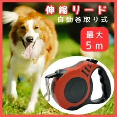 犬用 伸縮リード 5m 自動巻取 小型犬 中型犬 赤 軽量 散歩 ワンタッチ