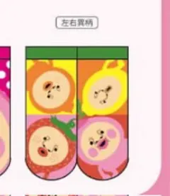 こびとづかん靴下 23-25cm