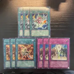 フォーチュンフューチャー　タイムパッセージ　フォーチュンインハーリット