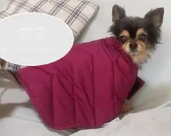 Item thumbnail for item eef71728-2f3f-43f4-8ac7-06d8a31855ba