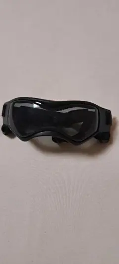 犬