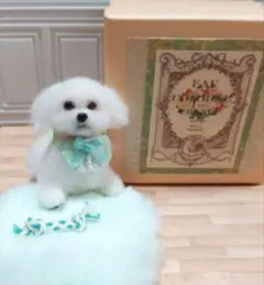 羊毛フェルト　マルチーズ　犬　ハンドメイド　ミニチュア