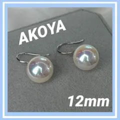 本日限り　ピアス　パール　シルバー　アコヤ　大粒　12ミリ　フォーマル　卒業入学