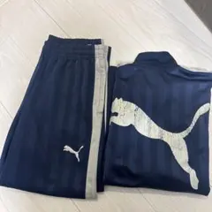 プーマジャージ