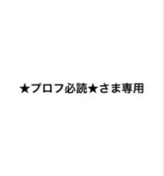 HYDEE.B ハイディービー 初代 電動アシスト自転車 チャイルドシート