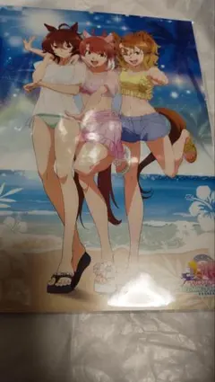 ウマ娘　新時代の扉　toho購入特典 A4イラストボード　おまけ付き