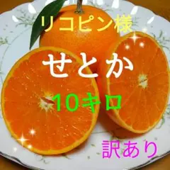 リコピン様専用　　　せとか