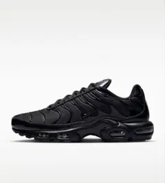 Nike Air Max Plus ブラック　スニーカー 25.5 7.5 黒