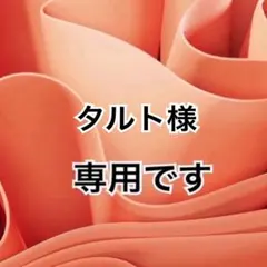タルト❀✿様 リクエスト 2点 まとめ商品