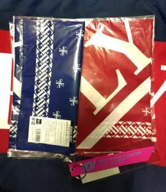 SKY-HI　ビッグタオル　FLYERS　タオル　グッズ　新品　未開封 BMSG 2026年最新】sky-hi タオルの人気アイテム - メルカリ