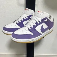 Nike SB Dunk Low Pro 