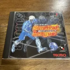 Jリーグサッカー実況サバイバルリーグ　取説に汚れあります