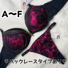 完売間近✨️♥️シルエットローズファスナーブラTバックセット(ピンク)