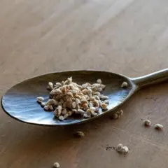 きくらげ様 リクエスト 3点 まとめ商品