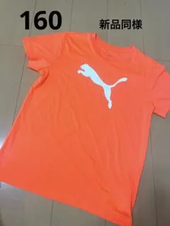 新品同様　プーマ　Puma オレンジ Tシャツ