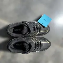 Item thumbnail for item 82f861f1-3833-4662-af66-0f172ae71f50