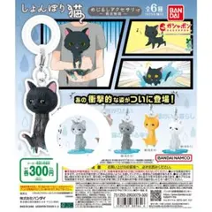 しょんぼり猫めじるしアクセサリー