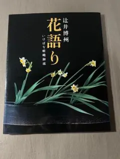 2026年最新】草月流 本の人気アイテム - メルカリ