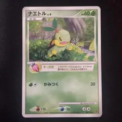 ポケモンカード ナエトル LV.9 001/PPP プレイヤーズ プロモ ポケカ