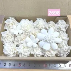 ソラフラワー　2698