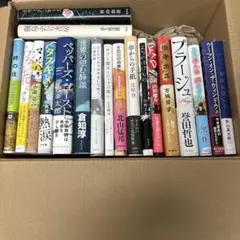 小説詰め合わせ19冊セットまとめ売り 【M-13】