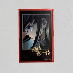 鬼滅の刃 ティザービジュアル第1弾 ランダムチェキ風ブロマイド 時透無一郎