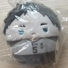 ハイキュー くじメイト ぬいくじ D賞 赤葦京治 ふわコロりん