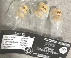 skzoo スキズ ガチャ めじるしアクセサリー パピーム スンミン　3個セット