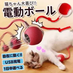 Item thumbnail for item 4a361238-fac1-4dee-bd3e-6ccf28a4fbcc