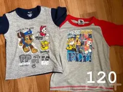 パウパトロール Tシャツ 2枚セット 120cm