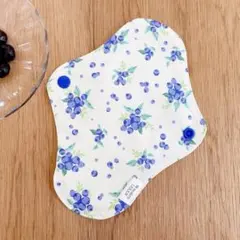 Item thumbnail for item 337937c3-5075-43f8-b46d-bc33010ed276